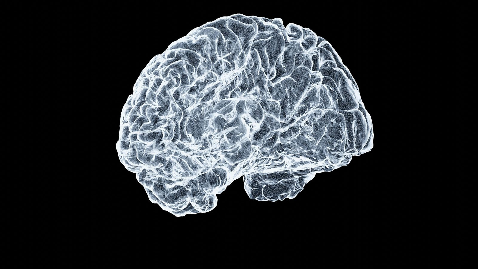 Rendered brain scan